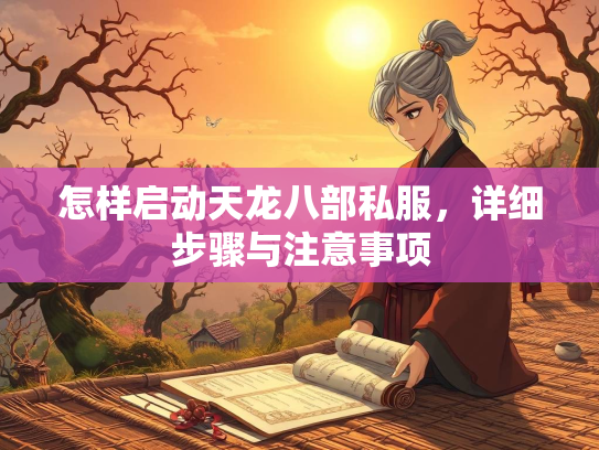 怎样启动天龙八部私服，详细步骤与注意事项  第3张