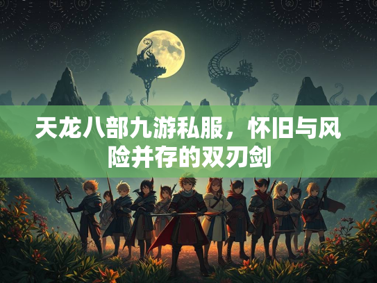天龙八部九游私服，怀旧与风险并存的双刃剑  第3张