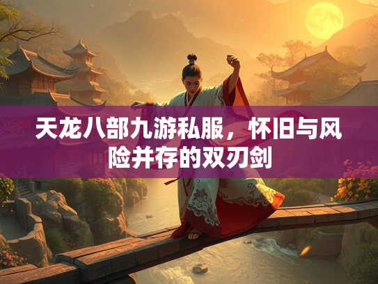 天龙八部九游私服，怀旧与风险并存的双刃剑  第1张