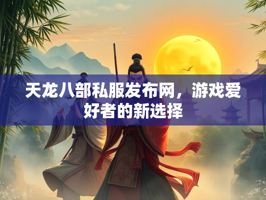 天龙八部私服发布网，游戏爱好者的新选择  第1张