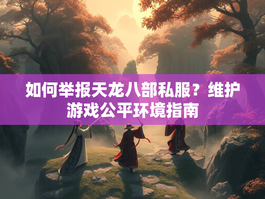 如何举报天龙八部私服？维护游戏公平环境指南  第4张