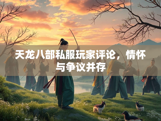 天龙八部私服玩家评论，情怀与争议并存  第4张