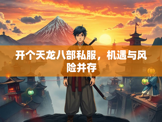 开个天龙八部私服，机遇与风险并存  第3张