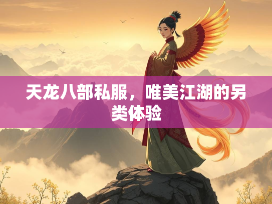 天龙八部私服，唯美江湖的另类体验  第4张