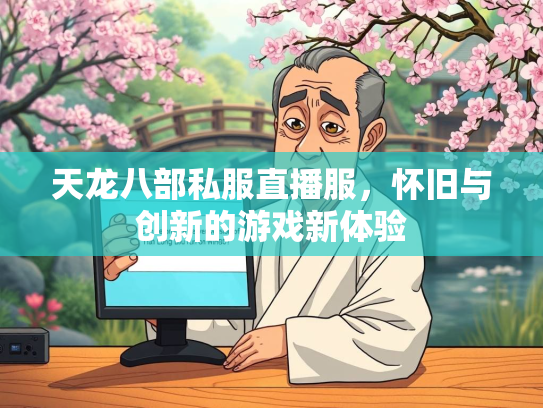 天龙八部私服直播服，怀旧与创新的游戏新体验  第4张