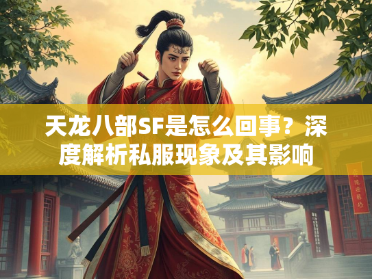 天龙八部SF是怎么回事？深度解析私服现象及其影响  第3张