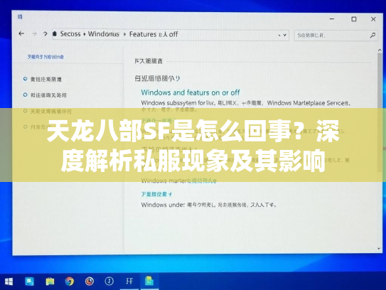 天龙八部SF是怎么回事？深度解析私服现象及其影响  第4张
