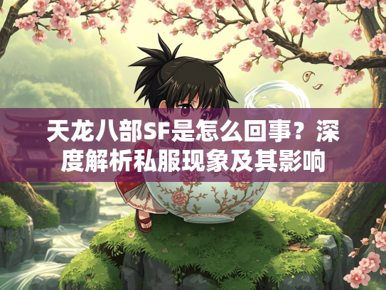 天龙八部SF是怎么回事？深度解析私服现象及其影响  第1张
