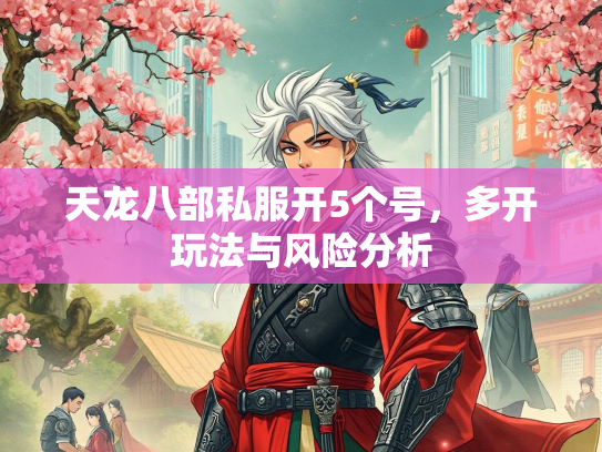 天龙八部私服开5个号，多开玩法与风险分析  第3张