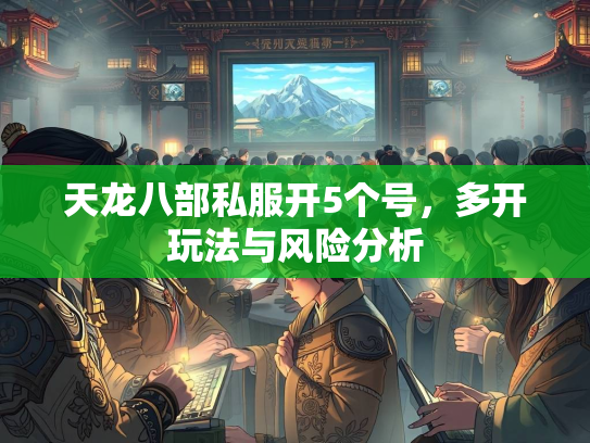 天龙八部私服开5个号，多开玩法与风险分析  第4张