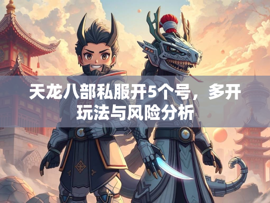 天龙八部私服开5个号，多开玩法与风险分析  第1张
