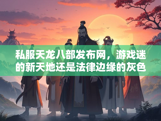 私服天龙八部发布网，游戏迷的新天地还是法律边缘的灰色地带？  第4张