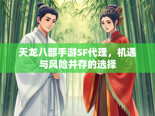 天龙八部手游SF代理，机遇与风险并存的选择  第1张