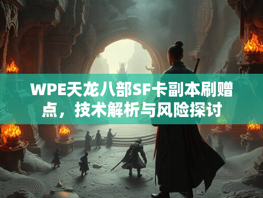 WPE天龙八部SF卡副本刷赠点，技术解析与风险探讨  第3张