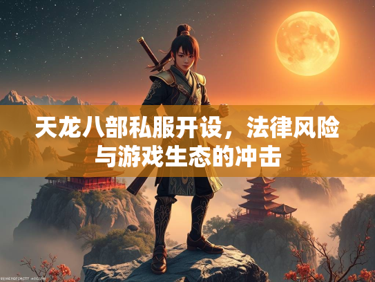天龙八部私服开设，法律风险与游戏生态的冲击  第4张