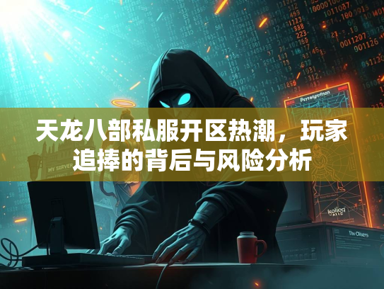 天龙八部私服开区热潮，玩家追捧的背后与风险分析  第3张