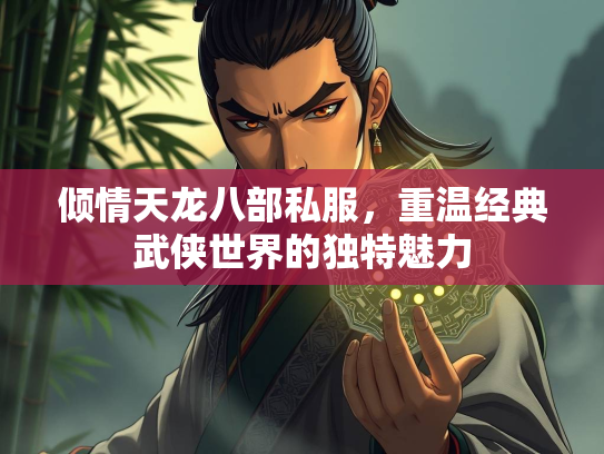 倾情天龙八部私服，重温经典武侠世界的独特魅力  第1张