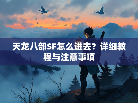 天龙八部SF怎么进去？详细教程与注意事项  第4张