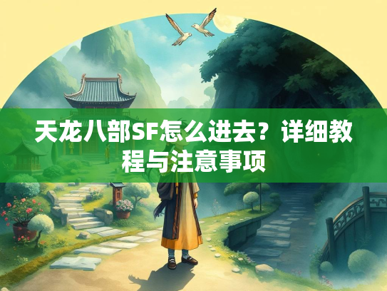 天龙八部SF怎么进去？详细教程与注意事项  第1张
