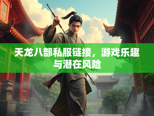 天龙八部私服链接，游戏乐趣与潜在风险  第3张