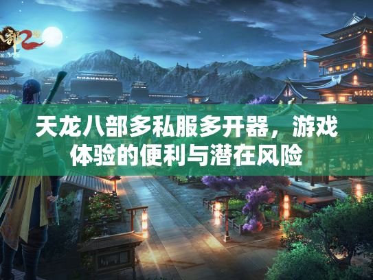天龙八部多私服多开器，游戏体验的便利与潜在风险  第1张