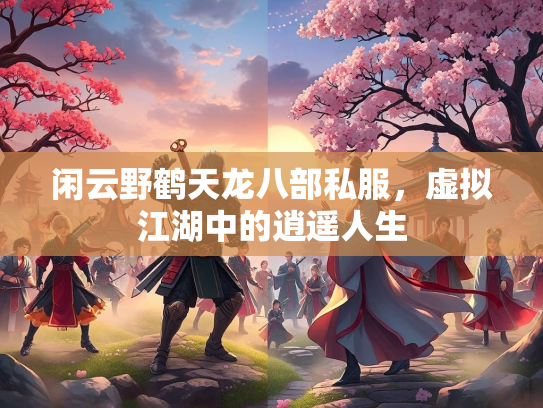 闲云野鹤天龙八部私服，虚拟江湖中的逍遥人生  第4张
