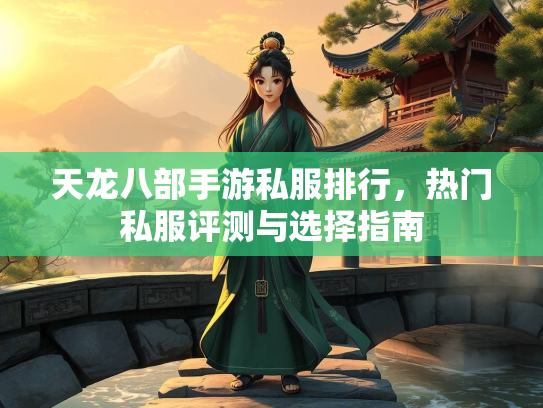 天龙八部手游私服排行，热门私服评测与选择指南  第4张