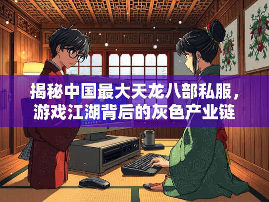 揭秘中国最大天龙八部私服，游戏江湖背后的灰色产业链  第1张