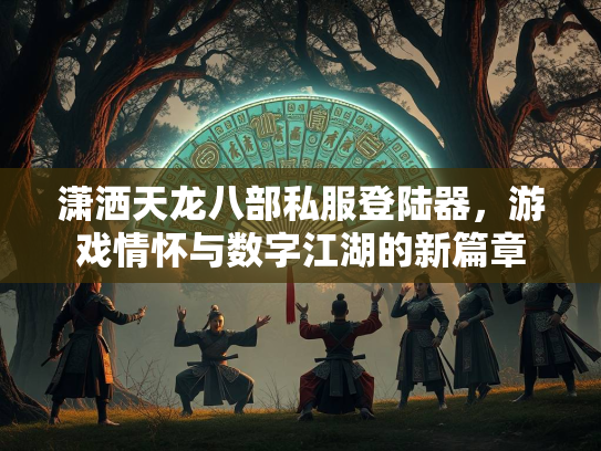 潇洒天龙八部私服登陆器，游戏情怀与数字江湖的新篇章  第3张