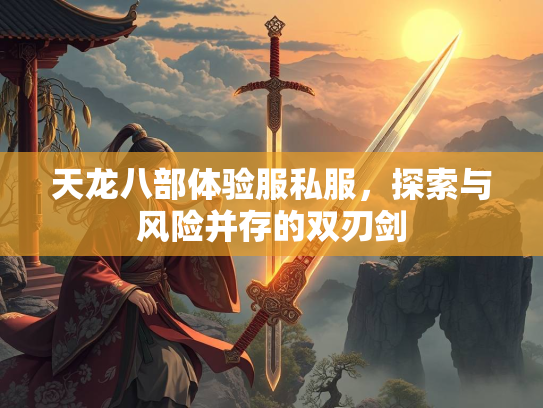 天龙八部体验服私服，探索与风险并存的双刃剑  第3张