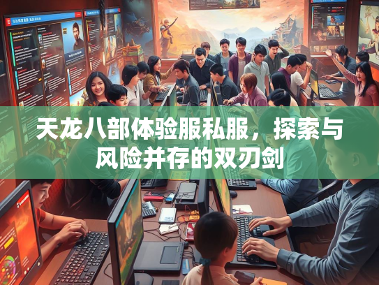 天龙八部体验服私服，探索与风险并存的双刃剑  第4张