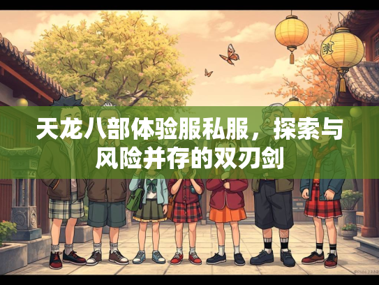 天龙八部体验服私服，探索与风险并存的双刃剑  第1张