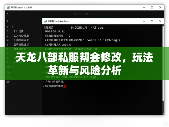 天龙八部私服帮会修改，玩法革新与风险分析  第1张