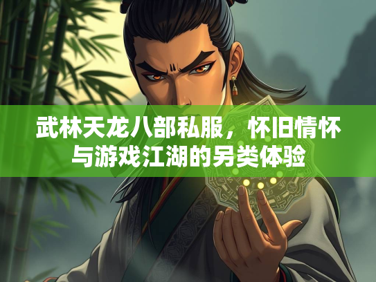 武林天龙八部私服，怀旧情怀与游戏江湖的另类体验  第3张