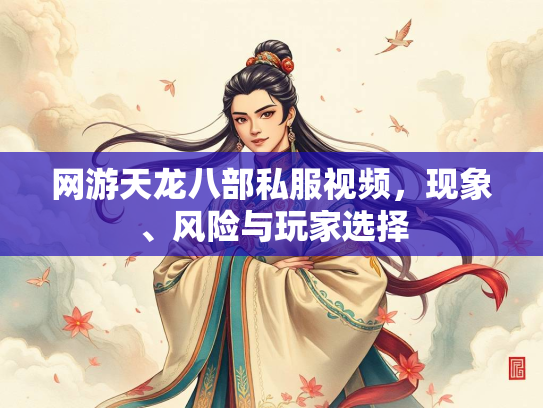 网游天龙八部私服视频，现象、风险与玩家选择  第3张