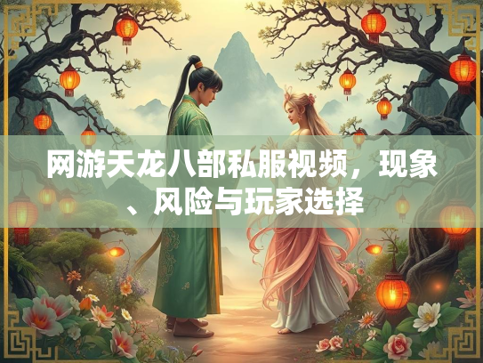 网游天龙八部私服视频，现象、风险与玩家选择  第1张