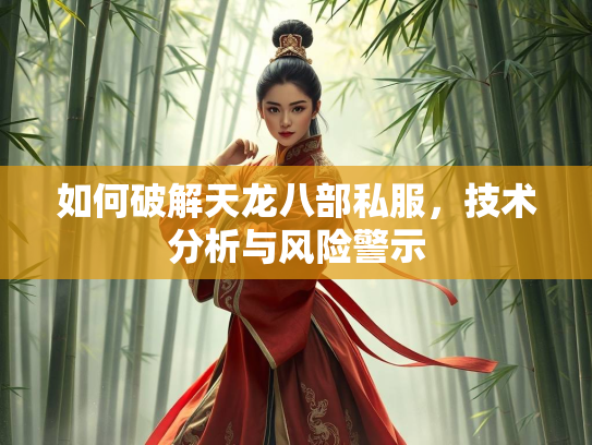 如何破解天龙八部私服，技术分析与风险警示  第2张