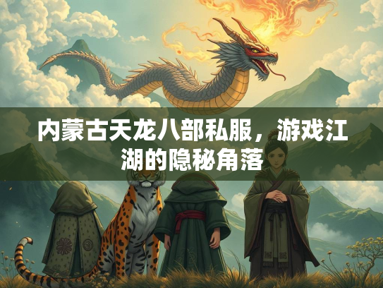 内蒙古天龙八部私服，游戏江湖的隐秘角落  第2张