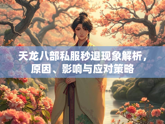 天龙八部私服秒退现象解析，原因、影响与应对策略  第2张