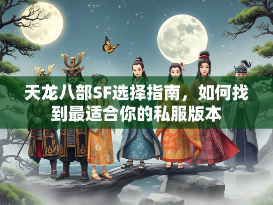 天龙八部SF选择指南，如何找到最适合你的私服版本  第4张