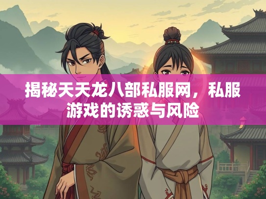 揭秘天天龙八部私服网，私服游戏的诱惑与风险  第3张