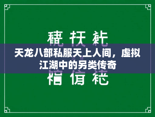 天龙八部私服天上人间，虚拟江湖中的另类传奇  第3张