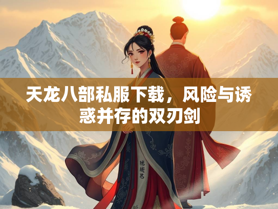 天龙八部私服下载，风险与诱惑并存的双刃剑  第1张