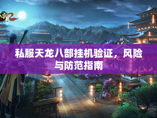 私服天龙八部挂机验证，风险与防范指南  第2张