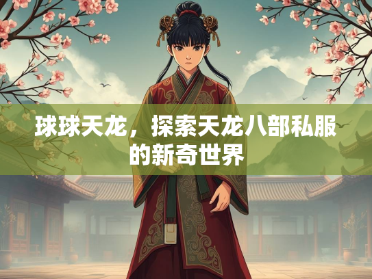 球球天龙，探索天龙八部私服的新奇世界  第2张