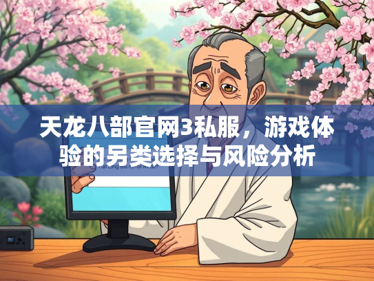 天龙八部官网3私服，游戏体验的另类选择与风险分析  第3张