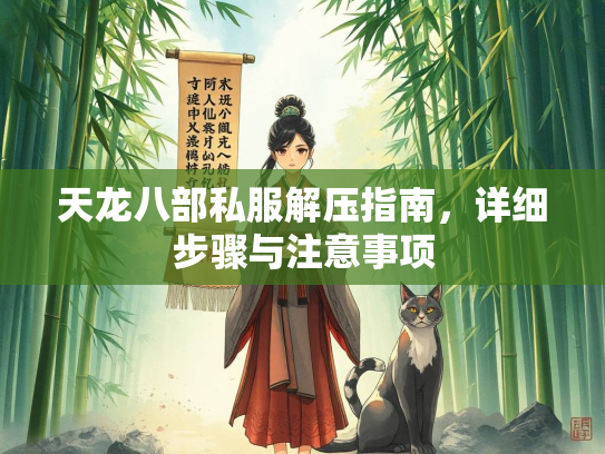 天龙八部私服解压指南，详细步骤与注意事项  第2张