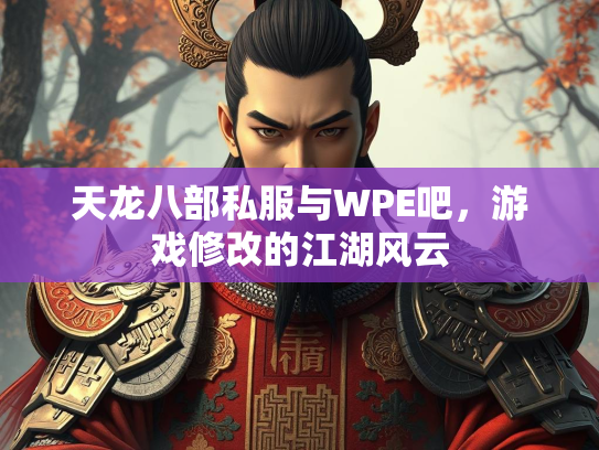 天龙八部私服与WPE吧，游戏修改的江湖风云  第2张