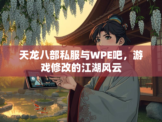 天龙八部私服与WPE吧，游戏修改的江湖风云  第1张