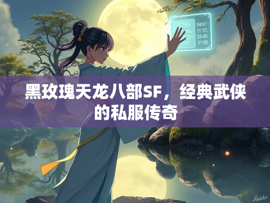 黑玫瑰天龙八部SF，经典武侠的私服传奇  第3张